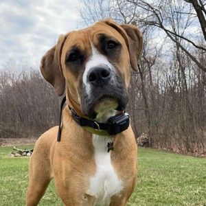 Meet your Posher, Kylie